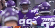 Minnesota Vikings Football GIF by NFL