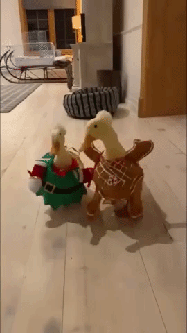 Fabulous Duck Duo Sashays Into Holiday Season