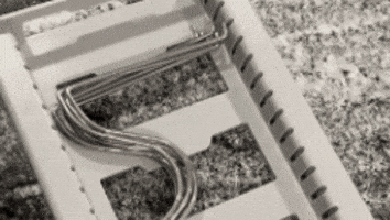 LKPM giphygifmaker GIF