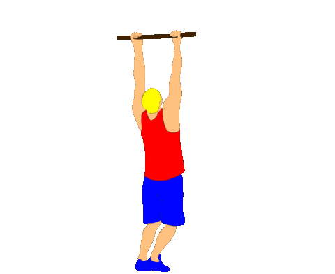 Fitness Workout Sticker