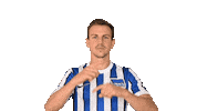 Home Swipe Up Sticker by Hertha BSC