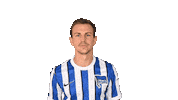 Home Swipe Up Sticker by Hertha BSC