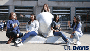 University Of California Davis GIF by UC Davis