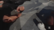 GIF by WWE