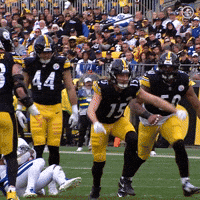 Excited Football GIF by Pittsburgh Steelers