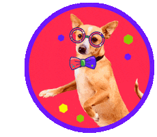 Dog Wow Sticker by Werner Bohr - Agentur für Gestaltung