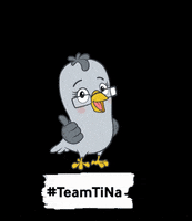 tinamachtschule nachhaltigkeit spenden tierschutz bildung GIF