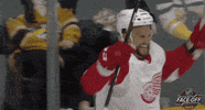 Celebrate Ice Hockey GIF by NHL