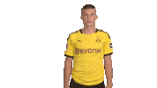 Happy Love It Sticker by Bundesliga