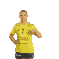 Rema1000Ligaen Sticker by Norsk Topphåndball