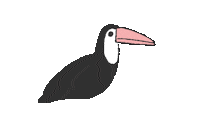 Bird Wow Sticker by merlin fluegel