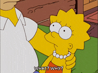 homer simpson episode 3 GIF