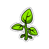 Agronomy Sticker by LG Seeds