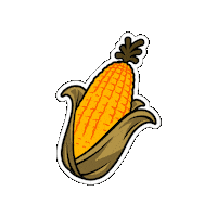 Agronomy Sticker by LG Seeds