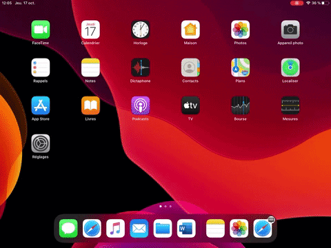 01net giphygifmaker ipados GIF
