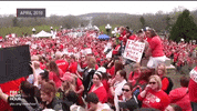 news kentucky election day election day 2019 GIF