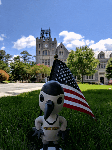 oglethorpeuniv fourth of july oglethorpe GIF