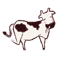 Cow Oops Sticker by vmvhypoallergenics