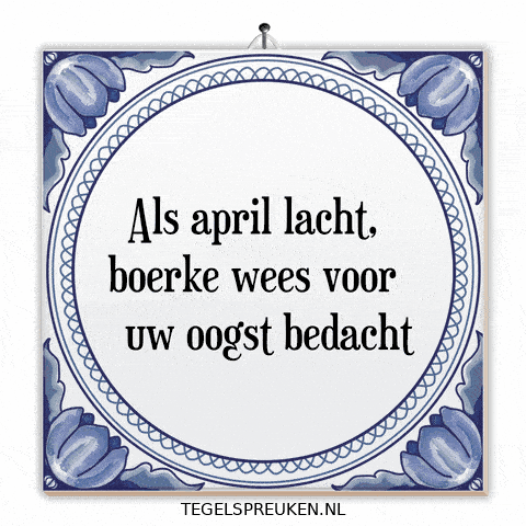Humor April GIF by Tegelspreuken.nl