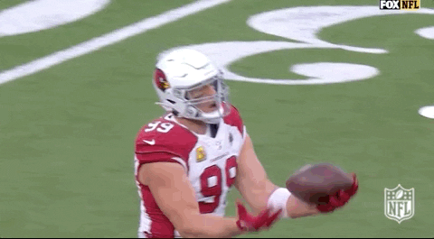 Frustrated Arizona Cardinals GIF by NFL