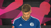 Schalke S04 GIF by Bundesliga