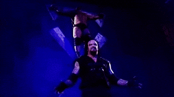The Undertaker Sport GIF by WWE