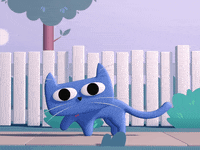 elevation_inc cat kitten meow GIF