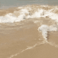 Facial Expression Water GIF