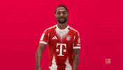 Fc Bayern Football GIF by Bundesliga
