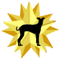 Sticker by Positively Pets