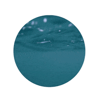 Ocean Sea Sticker by STMDefence