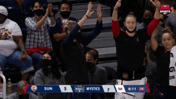 Regular Season Sport GIF by WNBA