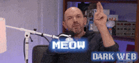 Paul Scheer Cat GIF by Dark Web