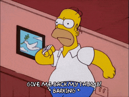 homer simpson GIF