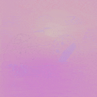 Happy Dance GIF by YON