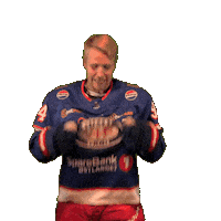 Goal Win Sticker by VIF Hockey