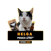 Cat Kot Sticker by Sztosy.co
