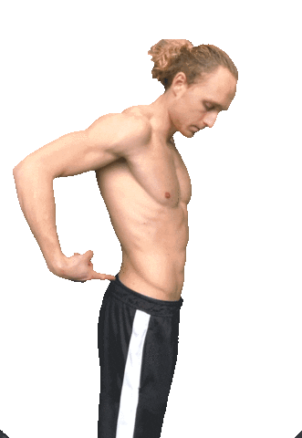Hendrivermeer shape control calisthenics streetworkout Sticker