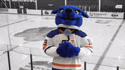 ontariotechridgebacks oshawa ridgeback ontario tech ontario tech university GIF
