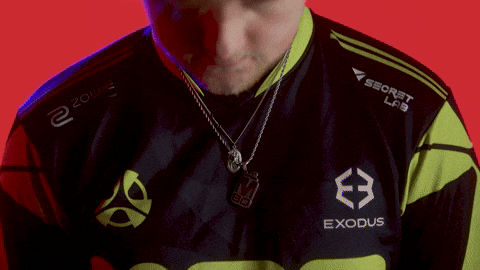 London Esports GIF by BLAST