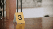 Danica Mckellar Sleuthers GIF by Hallmark Mystery