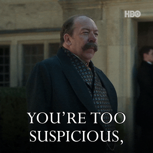 Suspicious Thegildedage GIF by HBO Max