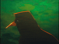 Dance Off GIF