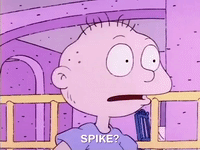 nicksplat rugrats GIF