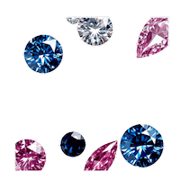 Bling Wow Sticker by TresorsDuMonde.ca