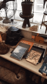 Animated GIF