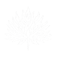 fsforomezcal celebration cheers mexico wine Sticker