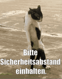 Cat Obb GIF by ÖBB | Österreichische Bundesbahnen