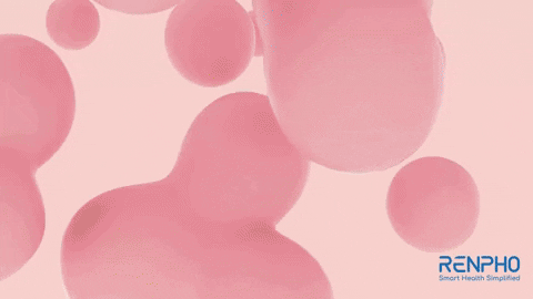 Fitness 3D GIF by RENPHO