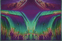 GIF by Leo Pyrata